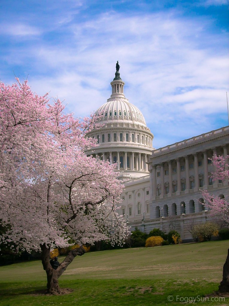 Capitol in Spring