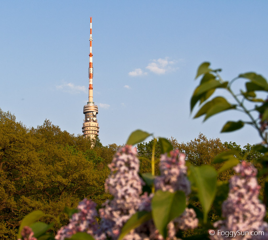 Old television tower